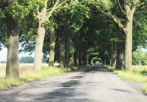 Road West of Gumtow